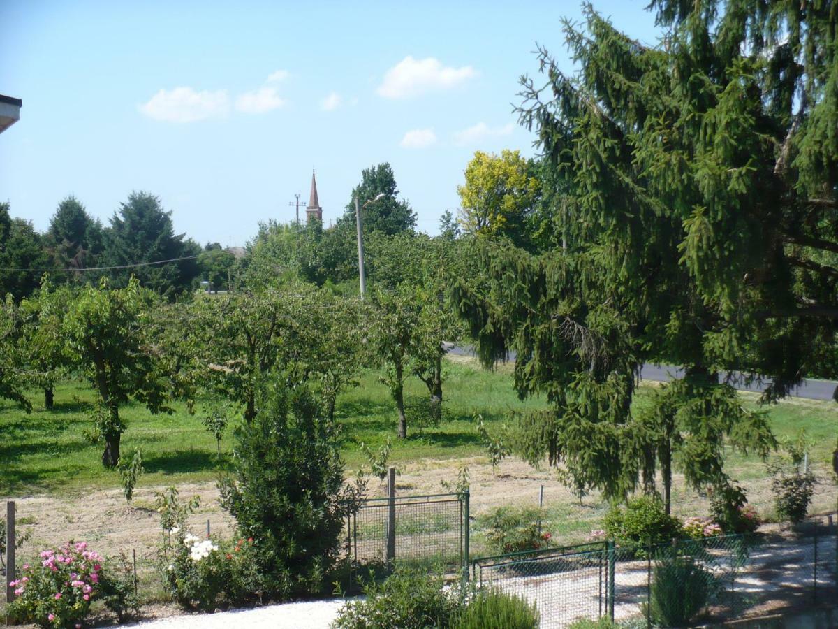 Bed and Breakfast L'Albero Della Gioia à Villanova sull'Arda Extérieur photo
